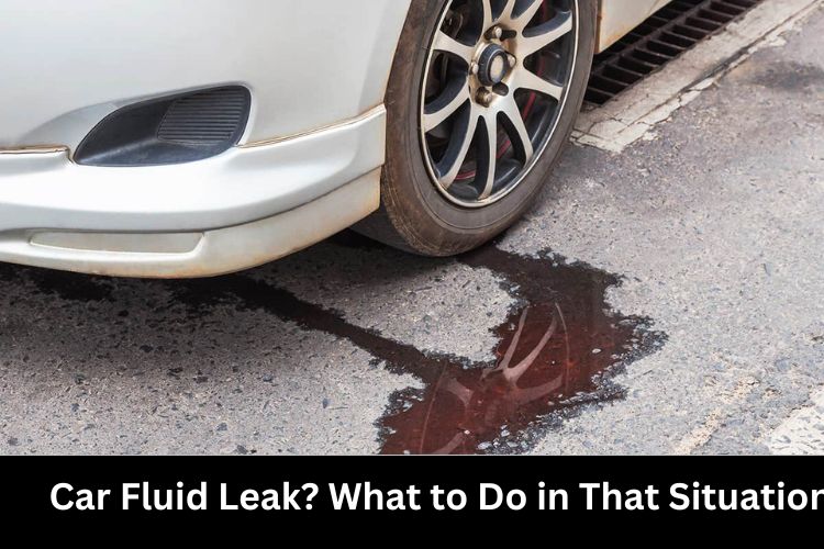 car fluid leak